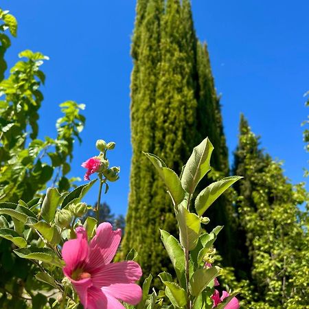 Demelida Villa Tsadha Dış mekan fotoğraf