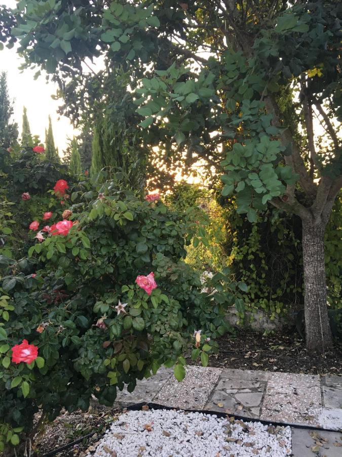 Demelida Villa Tsadha Dış mekan fotoğraf