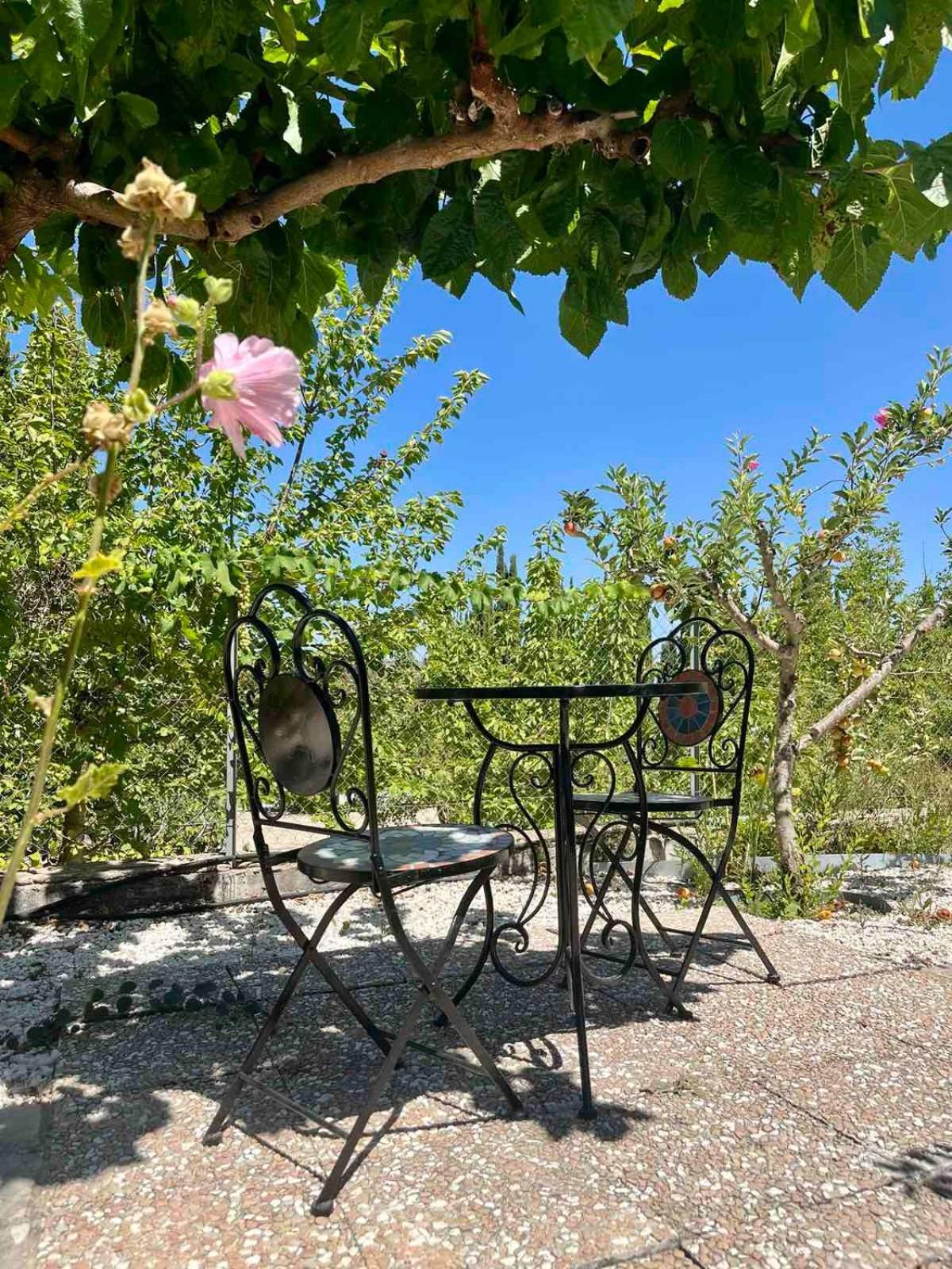 Demelida Villa Tsadha Dış mekan fotoğraf